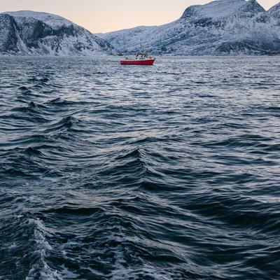 Esküvői fotó #1038