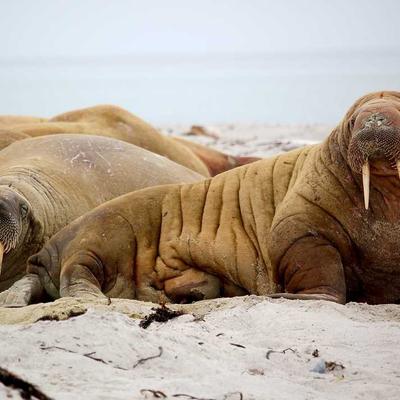 Esküvői fotó #1084